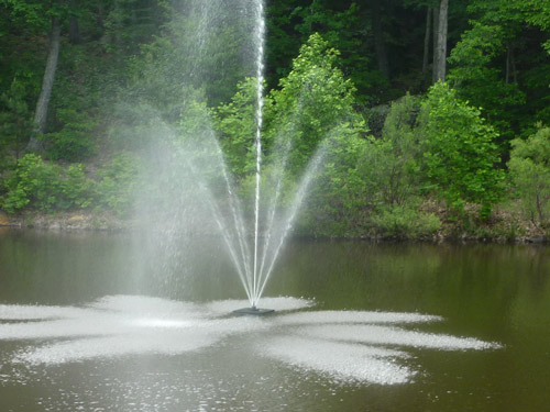 Lake with fountain display and trees in background