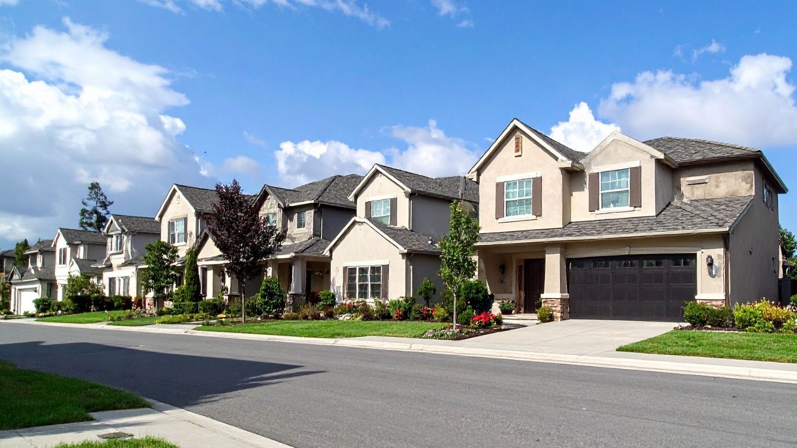 Image of homes in neighborhood on paved street